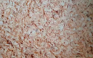 Isolamento térmico com serragem de pinus: aplicações na agroindústria