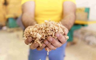 comprar serragem de pinus