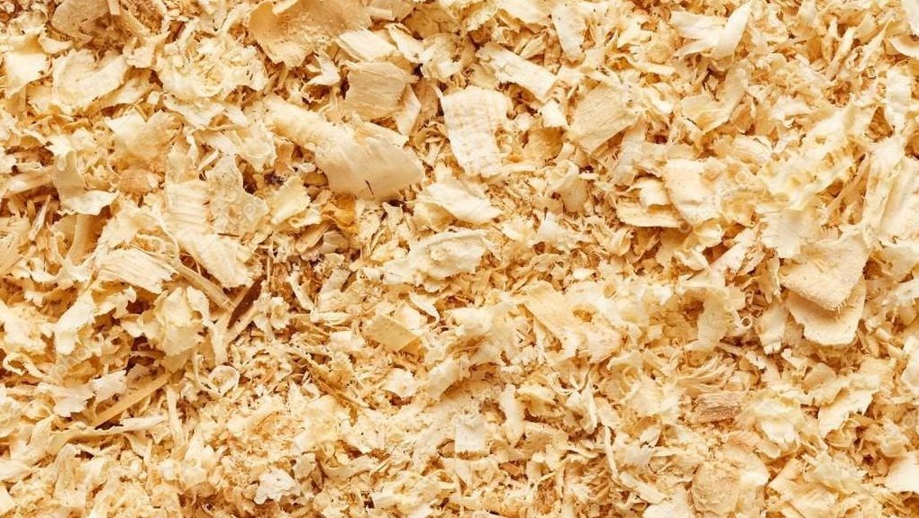 Usos criativos para maravalha e serragem de pinus