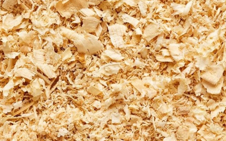 Usos criativos para maravalha e serragem de pinus