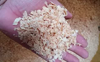 Por que a maravalha de pinus é essencial para o conforto dos animais?