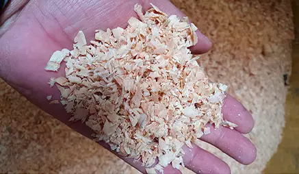 Por que a maravalha de pinus é essencial para o conforto dos animais?