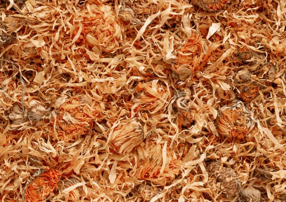 Maravalha de pinus: o que é e por que escolher essa opção sustentável?